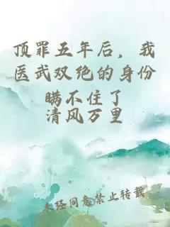 頂罪五年后，我醫武雙絕的身份瞞不住了