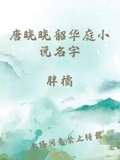 唐曉曉韶華庭小說名字