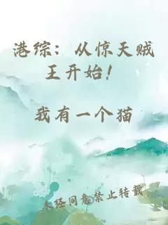 港綜:從驚天賊王開始!