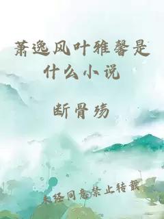 蕭逸風(fēng)葉雅馨是什么小說