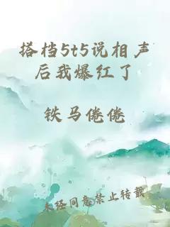 搭檔5t5說相聲后我爆紅了